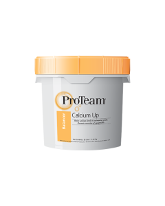 Calcium Hardness Up 25 lb Pail