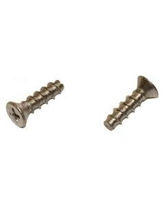 Hayward Face Plate Screw 2/pk