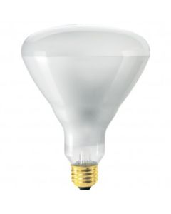 Light Bulb 300W 12V Med Base Flood R-40 Replacement