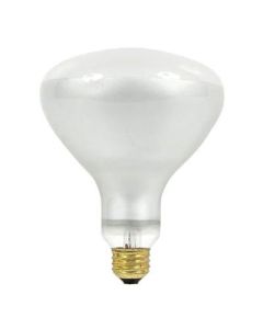 Light Bulb 500W 120V Med Base Flood R-40