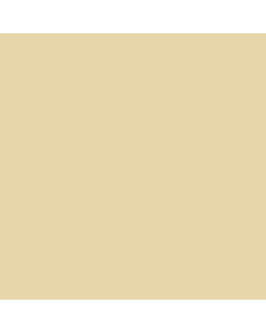 Patio Tones Paint 1 gal. Champagne (very Light-Bone)