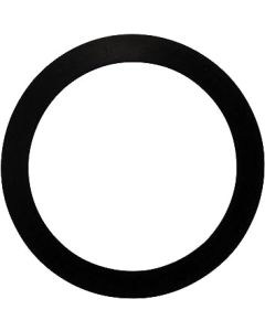 Pentair 2" Gasket Bulkhead