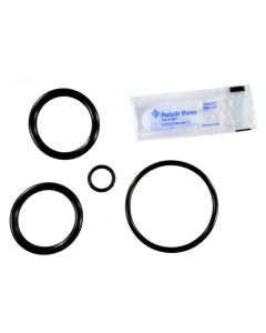 Pentair O-Ring Kit for Non-Corrosive Slide Valve