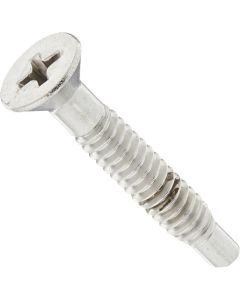 Pentair Pilot Screw SS w/Captive Gum Washer