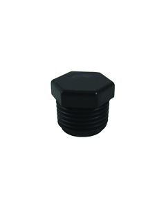Pentair Plug 1/2" Threaded