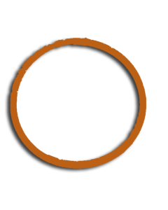 Acu-Trol Filter O-Ring Low Profile