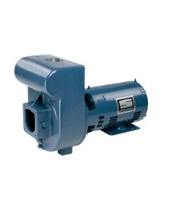 Centrifugal Pump 3hp HH 230V for D-Series Pump 2" Discharge Port Size