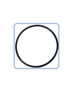 Rainbow Lid O-Ring for High Capacity Viton Chlorinators # 0-359